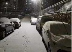 青島！大雪！大愛！