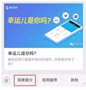 騰訊信用分全國(guó)公測(cè)，查了一下之后懵逼了。。