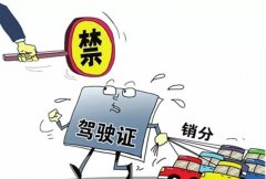 青島的朋友們注意啦，9月起禁止使用他人駕照銷