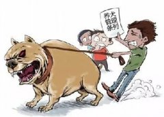 青島10月份一大波勁爆消息，你知道嗎？