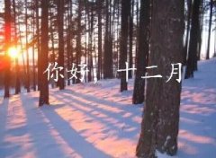 抓住2016年的尾巴給自己充充電！12月，加油！