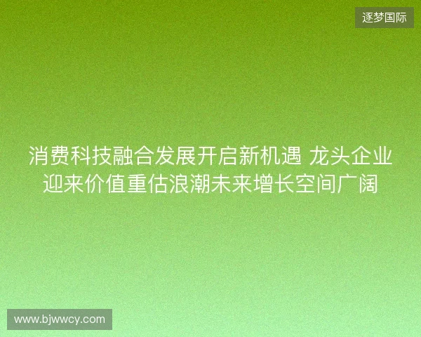 消费科技融合发展开启新机遇 龙头企业迎来价值重估浪潮未来增长空间广阔