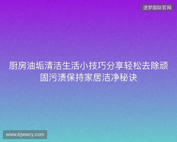 厨房油垢清洁生活小技巧分享轻松去除顽固污渍保持家居洁净秘诀